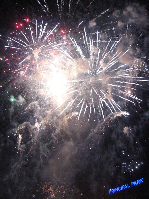 Fireworks - when you use a point and shoot cam