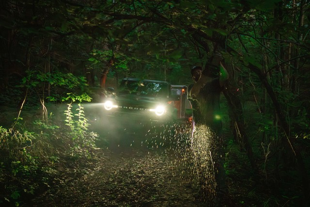 Evan takin down trees so I can squeeze through