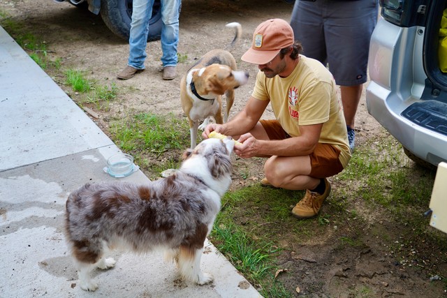 Casey feeds his dog, Marne corn on the cob
