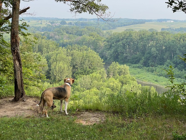 Lots of interesting noises out there