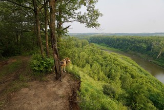 Durby surveys the land
