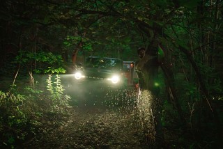 Evan takin down trees so I can squeeze through