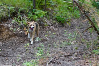 Durby livin his best life