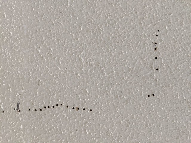 There were lots of annoying holes to fill in the garage... lazy asses