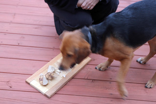 Snatchin a piece and running