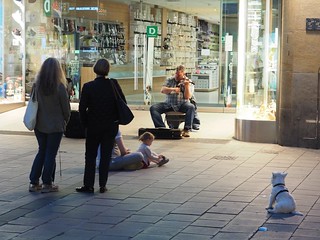 This lone dog was totally into this dude