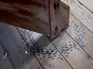 Art - Look at these tiny footprints in Grossmunster Church