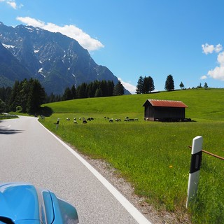 Curvy roads, goats, n stuff