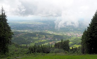 A clearing on our drive through the black forest