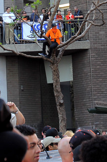 This dude's tree climbing skills were pretty impressive..