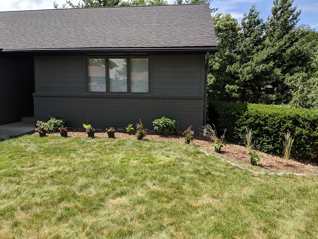 Adding some coralbells, astilbes, and stachys