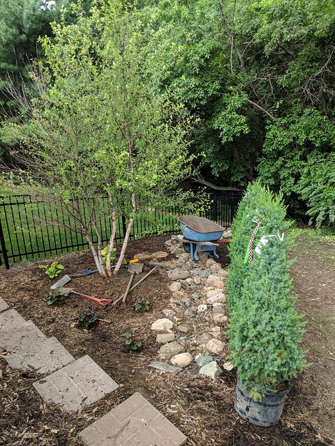 The side garden coming together