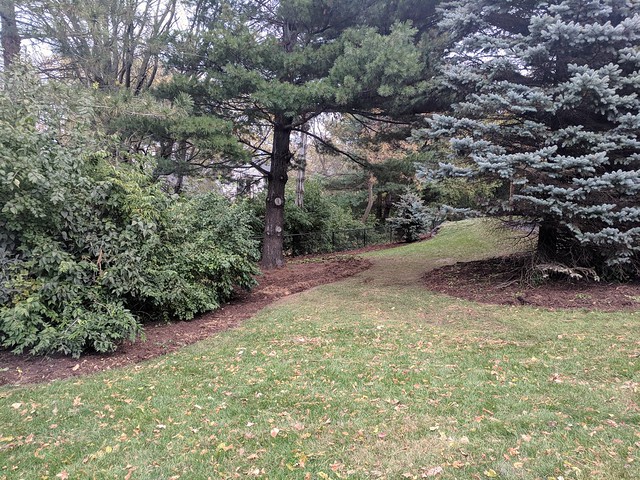 Edging and mulch goes a long way