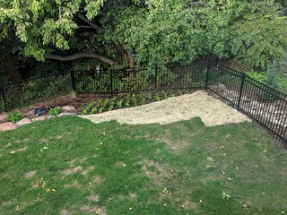 Got a lot of pachysandra delivered... Hopefully it helps a bit with erosion control on this hill