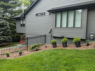 2737 - Adding a juniper, some stachy's, boxwoods, and grasses