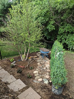 The side garden coming together