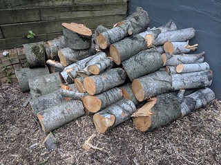 Got some firewood