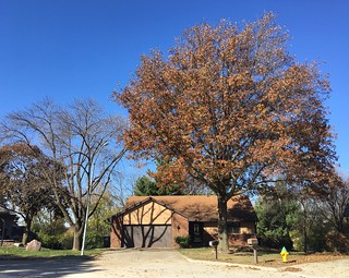 Now that you can actually see the front of our house, I'm more inclined to actually make it look cool.