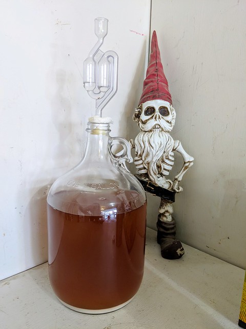 Mason's yeast starter