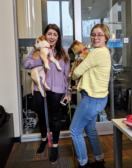 Some pups and some Rowling ladies