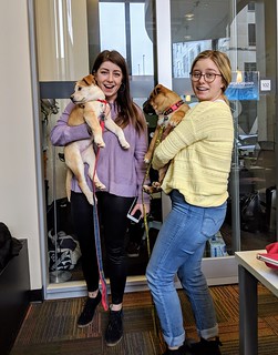 Some pups and some Rowling ladies