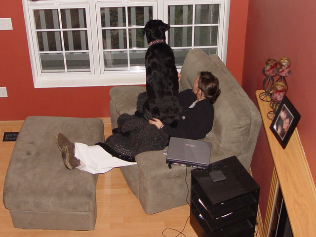 Kari and Ninja watching the storm