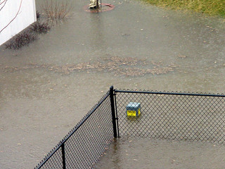 Weather - A flooded box and some mulch floating by.