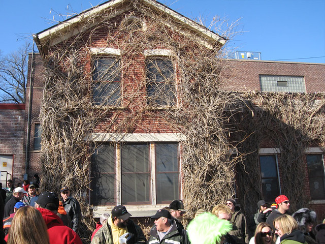 Some vines on part of the August Schell Brewery