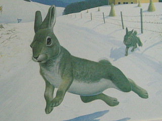 GOOOOOOOOOOOOO WABASSO RABBITS!