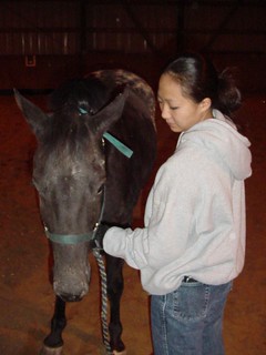 Horse - Mira and Comet