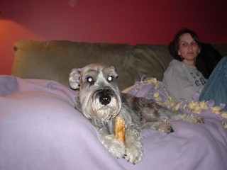 Teresa Reynolds - Chomp