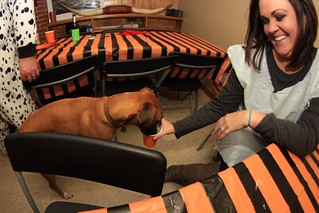 Rue <3 Confluence Beer