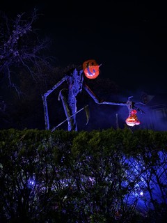 This dude was huge. and awesome.