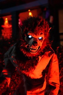 A nice werewolf. He likes pets.