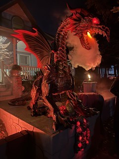 This dragon was wild