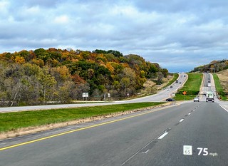 The trees are changin