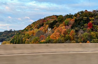 wishing I had a spot to get some good photos of these trees at less than 70mph