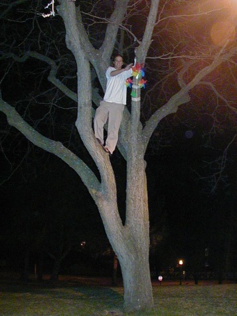 Tom and the pinwheel