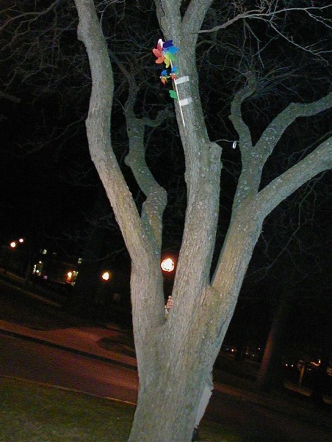 The pinwheel in the circle