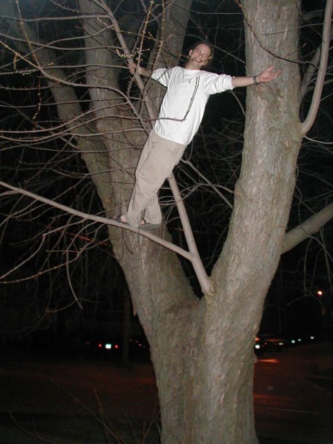 Tom climbing a tree