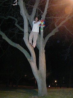 Tom and the pinwheel