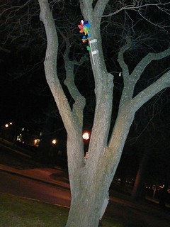 The pinwheel in the circle