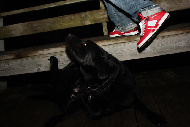 Kick a Ninja in the Head