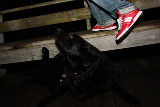 Ninja - Kick a Ninja in the Head