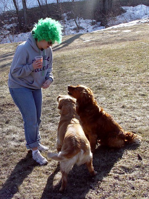 Tara and our neighbors