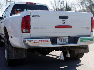 Bull doggers do it in the dirt