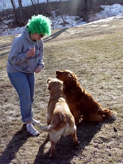 Tara and our neighbors