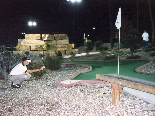 Professional Mini Golf