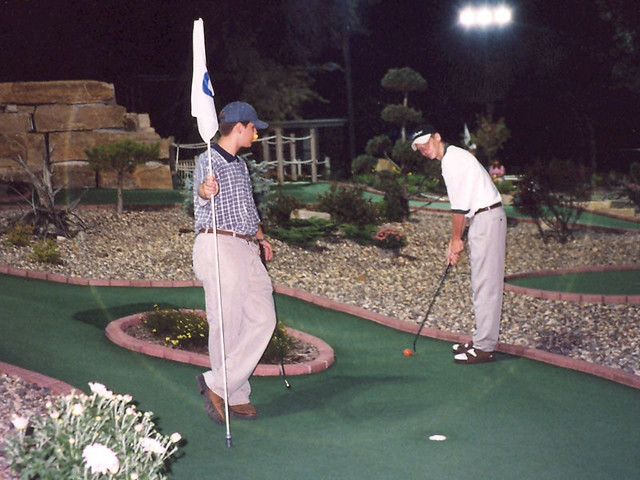 Professional Mini Golf