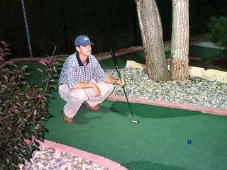 Professional Mini Golf